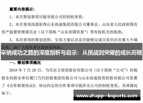 辛纳成功之路的深度剖析与启示：从挑战到突破的成长历程