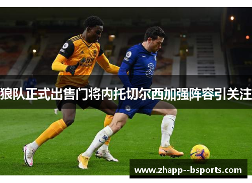 狼队正式出售门将内托切尔西加强阵容引关注