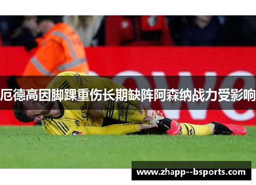厄德高因脚踝重伤长期缺阵阿森纳战力受影响 厄德高因脚踝重伤长期缺阵阿森纳战力受影响